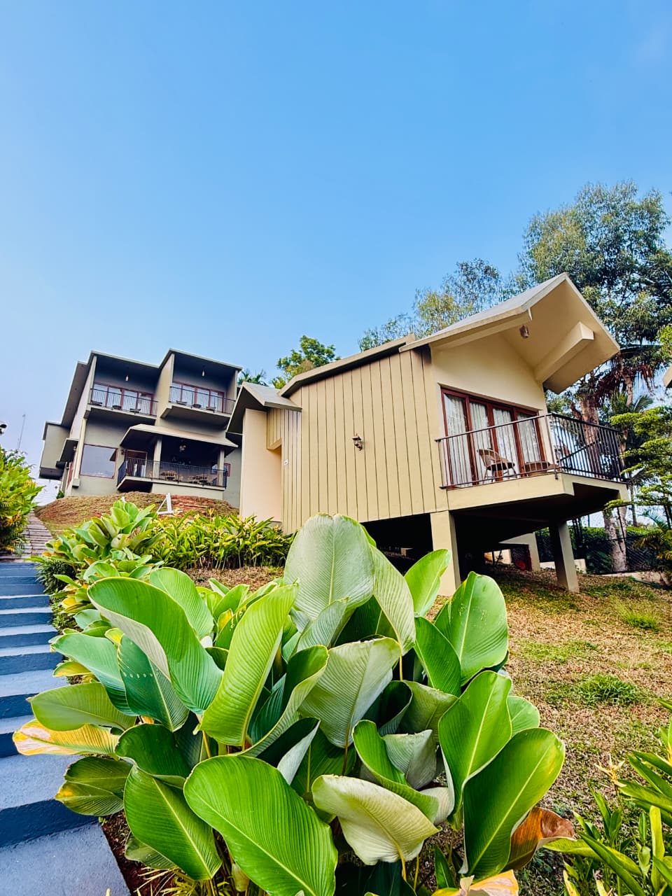 Premium Single Studio Villa